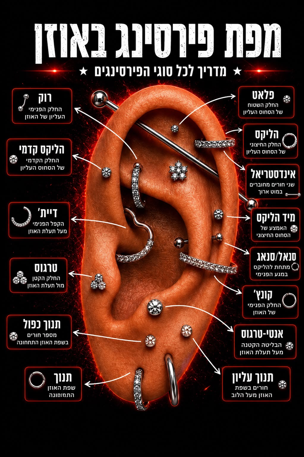 מפת פירסינג באוזן — Red Raven